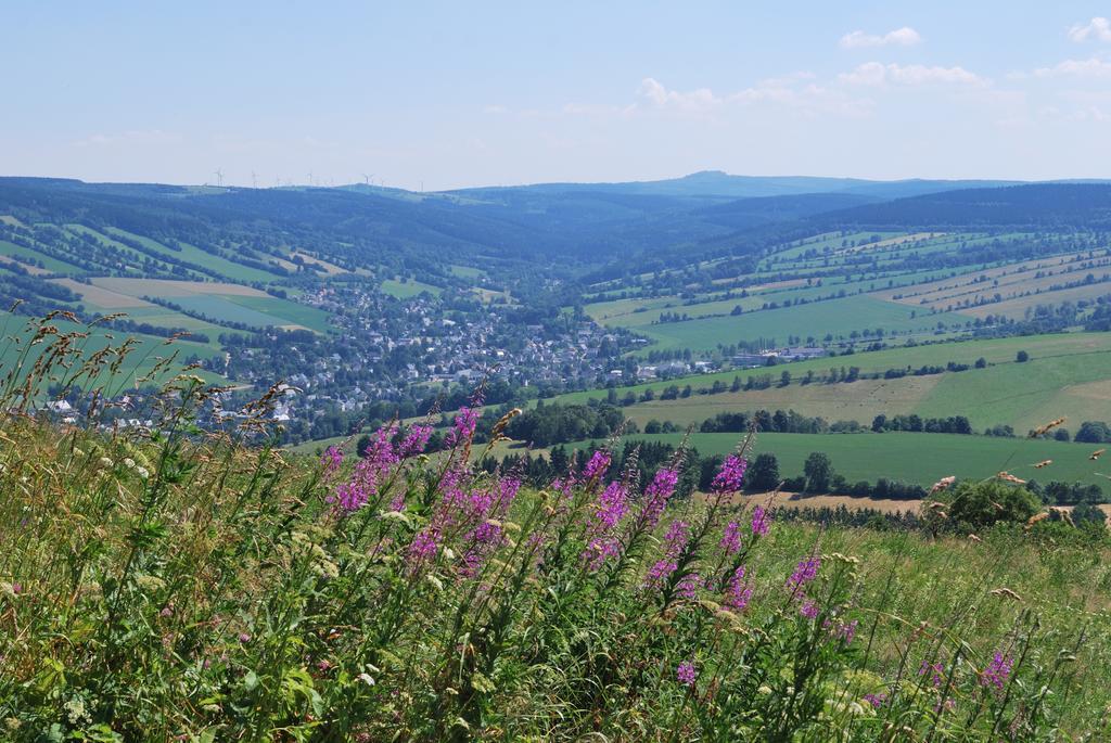 Familien-Ferienwohnung Haustein Konigswalde Номер фото
