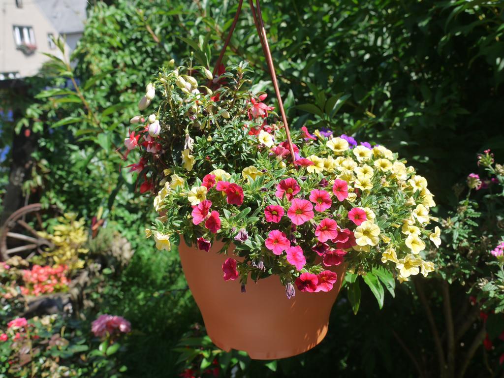Familien-Ferienwohnung Haustein Konigswalde Экстерьер фото